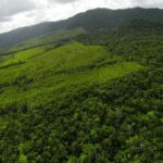 listing image thumbnail with ID 23331