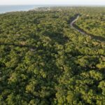 listing image thumbnail with ID 21982