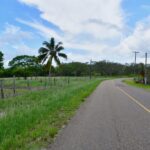 listing image thumbnail with ID 25561