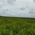 listing image thumbnail with ID 23321