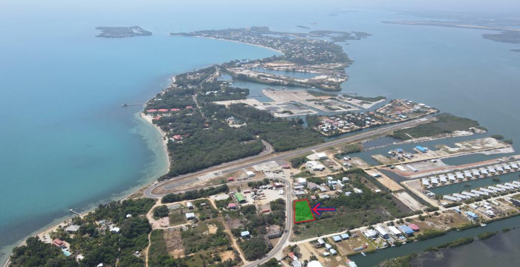 listing image with ID 15003