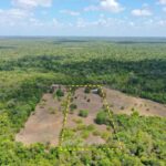 listing image thumbnail with ID 20784