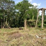 listing image thumbnail with ID 21835