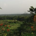 listing image thumbnail with ID 21832