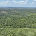 listing image thumbnail with ID 21444