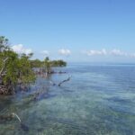 listing image thumbnail with ID 24230