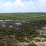 listing image thumbnail with ID 23694