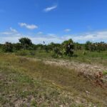 listing image thumbnail with ID 24880