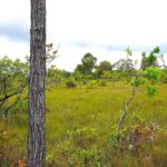 listing image thumbnail with ID 24181