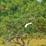 listing image thumbnail with ID 23612