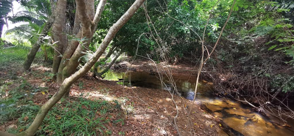 listing image with ID 16793