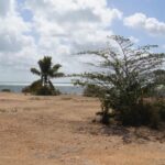 listing image thumbnail with ID 23526