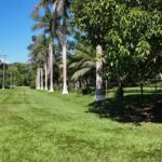 listing image thumbnail with ID 20025