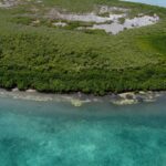 listing image thumbnail with ID 22991