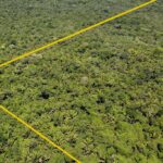 listing image thumbnail with ID 23305