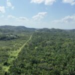 listing image thumbnail with ID 21442