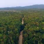 listing image thumbnail with ID 23232