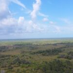 listing image thumbnail with ID 24157