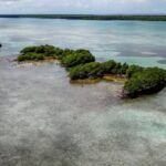 listing image thumbnail with ID 23021