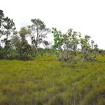 listing image thumbnail with ID 24183