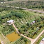 listing image thumbnail with ID 20420