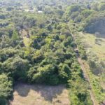 listing image thumbnail with ID 23146