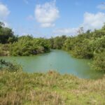 listing image thumbnail with ID 23527