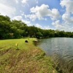 listing image thumbnail with ID 22900