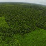 listing image thumbnail with ID 23348