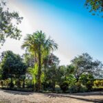 listing image thumbnail with ID 21784