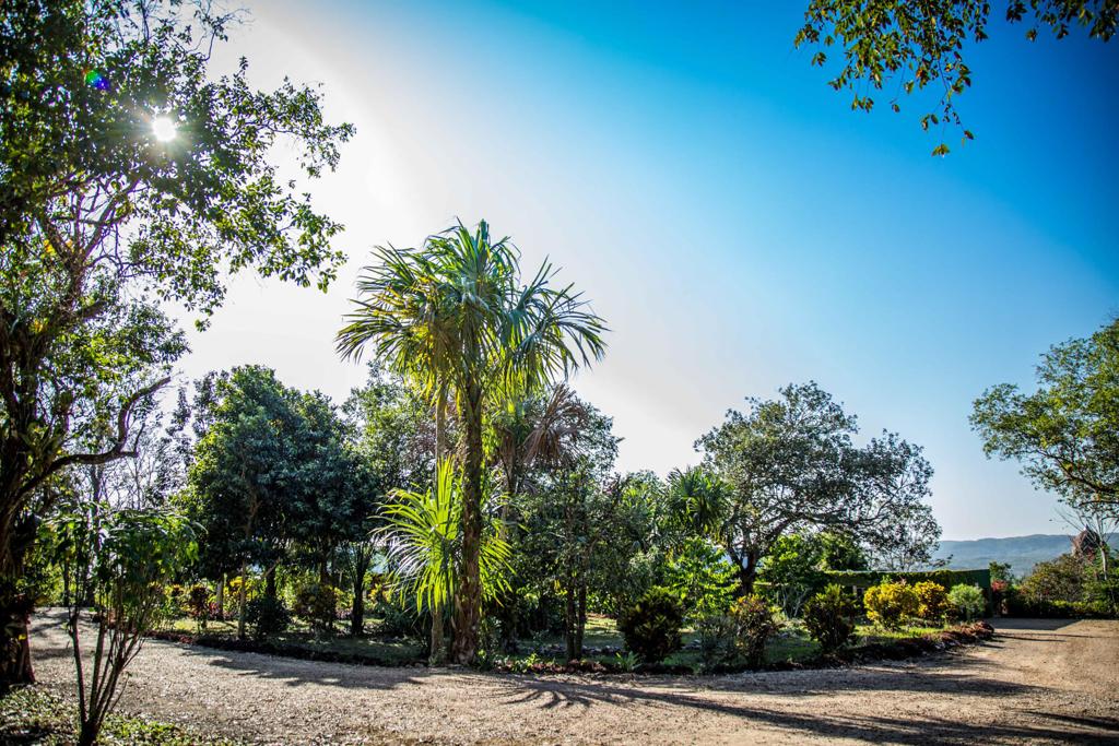 listing image with ID 21784