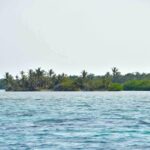 listing image thumbnail with ID 25534