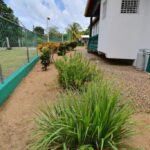 listing image thumbnail with ID 25516