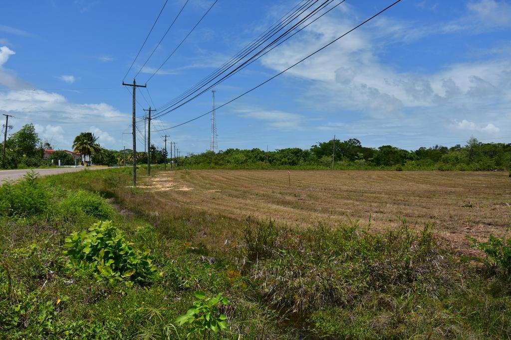 listing image with ID 25428