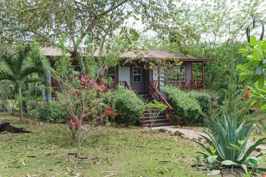 listing image with ID 23502