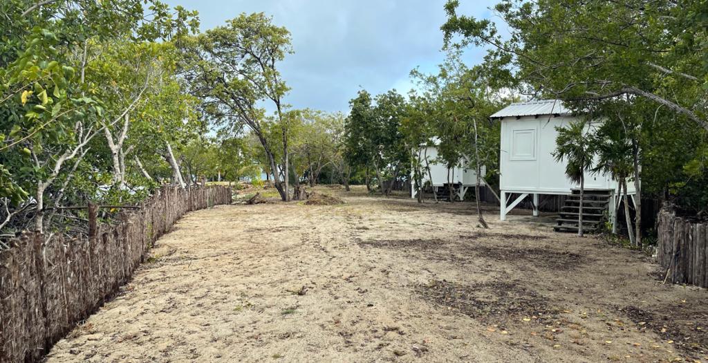 listing image with ID 16011