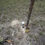 listing image thumbnail with ID 25248