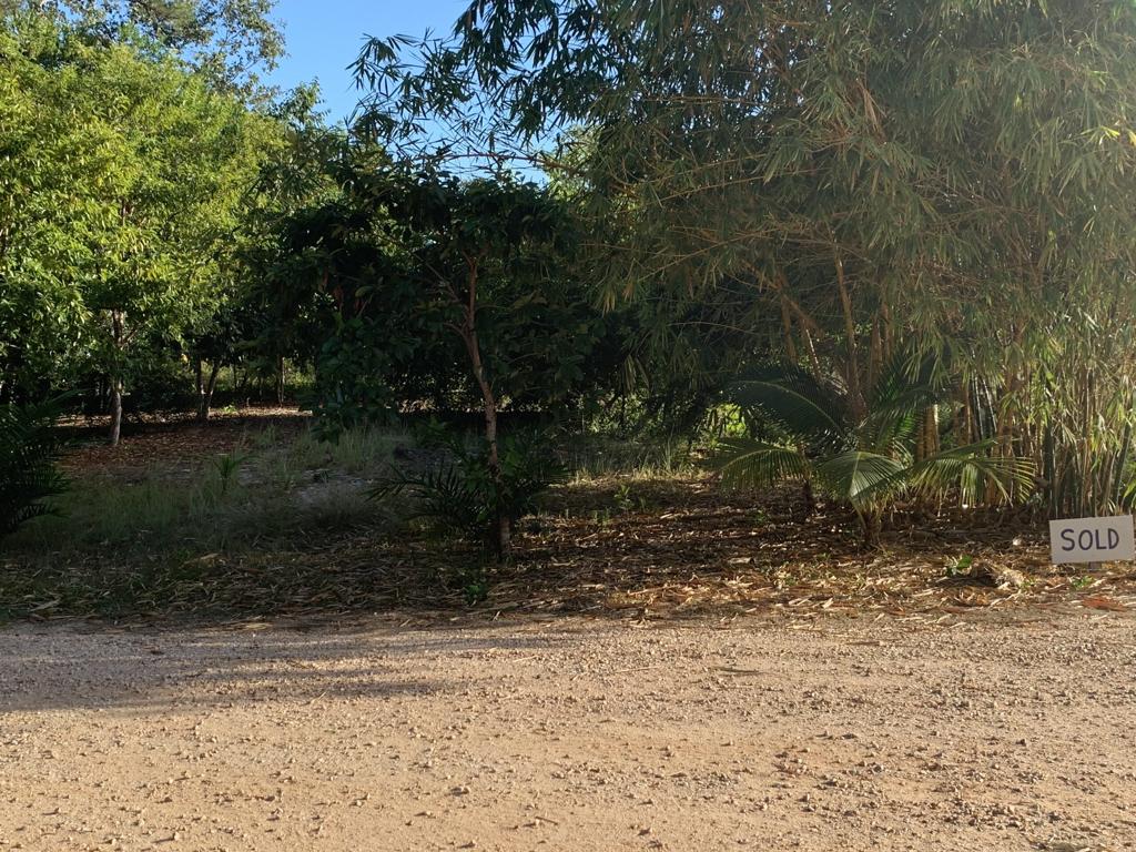listing image with ID 15985