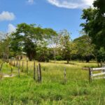 listing image thumbnail with ID 25566