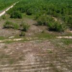 listing image thumbnail with ID 22855