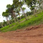 listing image thumbnail with ID 23362