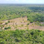 listing image thumbnail with ID 20786