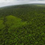 listing image thumbnail with ID 23316