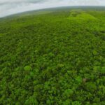 listing image thumbnail with ID 23326