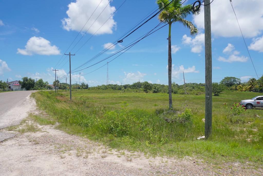 listing image with ID 25435