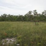 listing image thumbnail with ID 25253