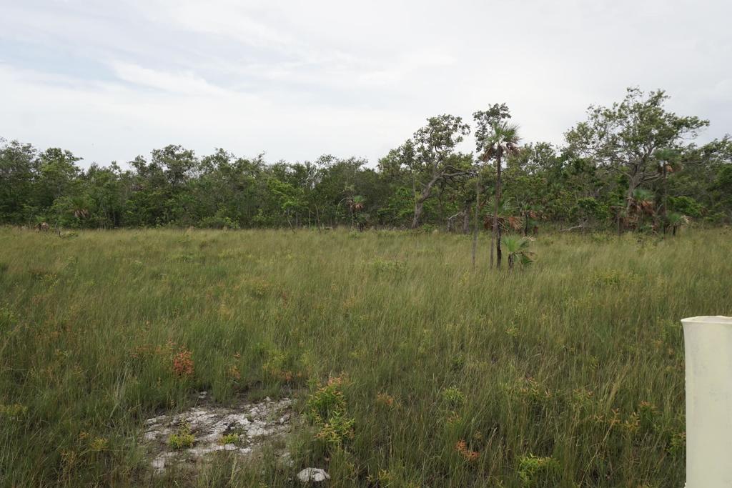 listing image with ID 25253