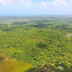 listing image thumbnail with ID 22763