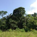 listing image thumbnail with ID 21840