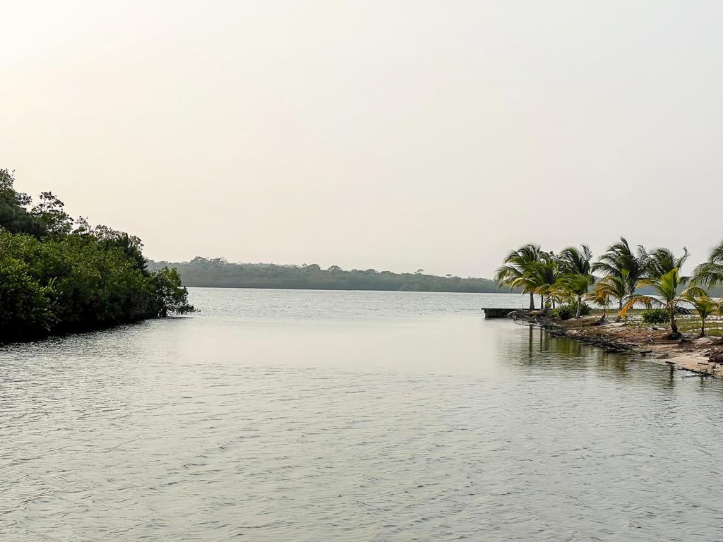 listing image with ID 7744